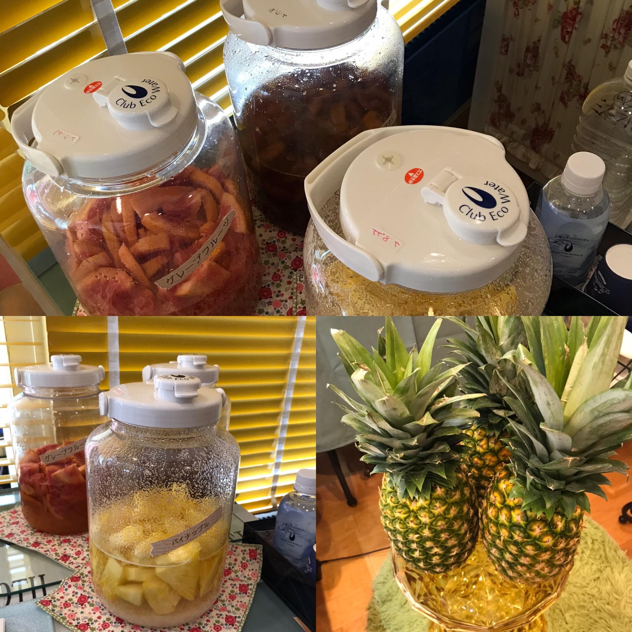 醗酵中^ ^